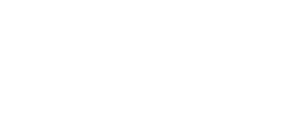 Ganz Electric